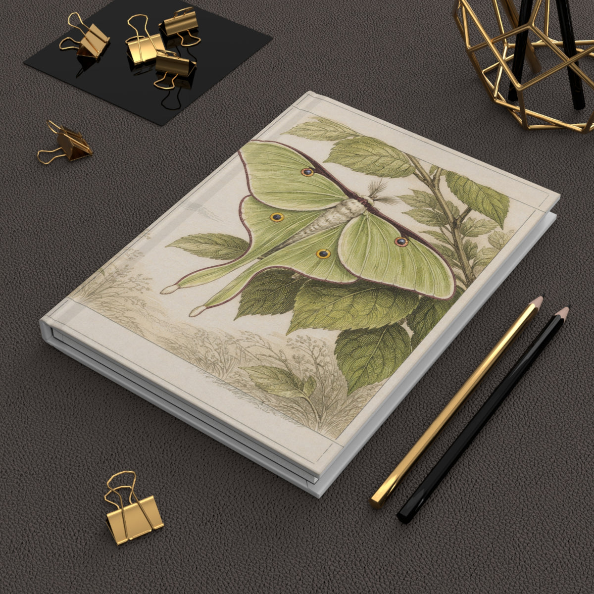 Journal Notebook, Hardcover Lined -Luna Moth & Caterpillar