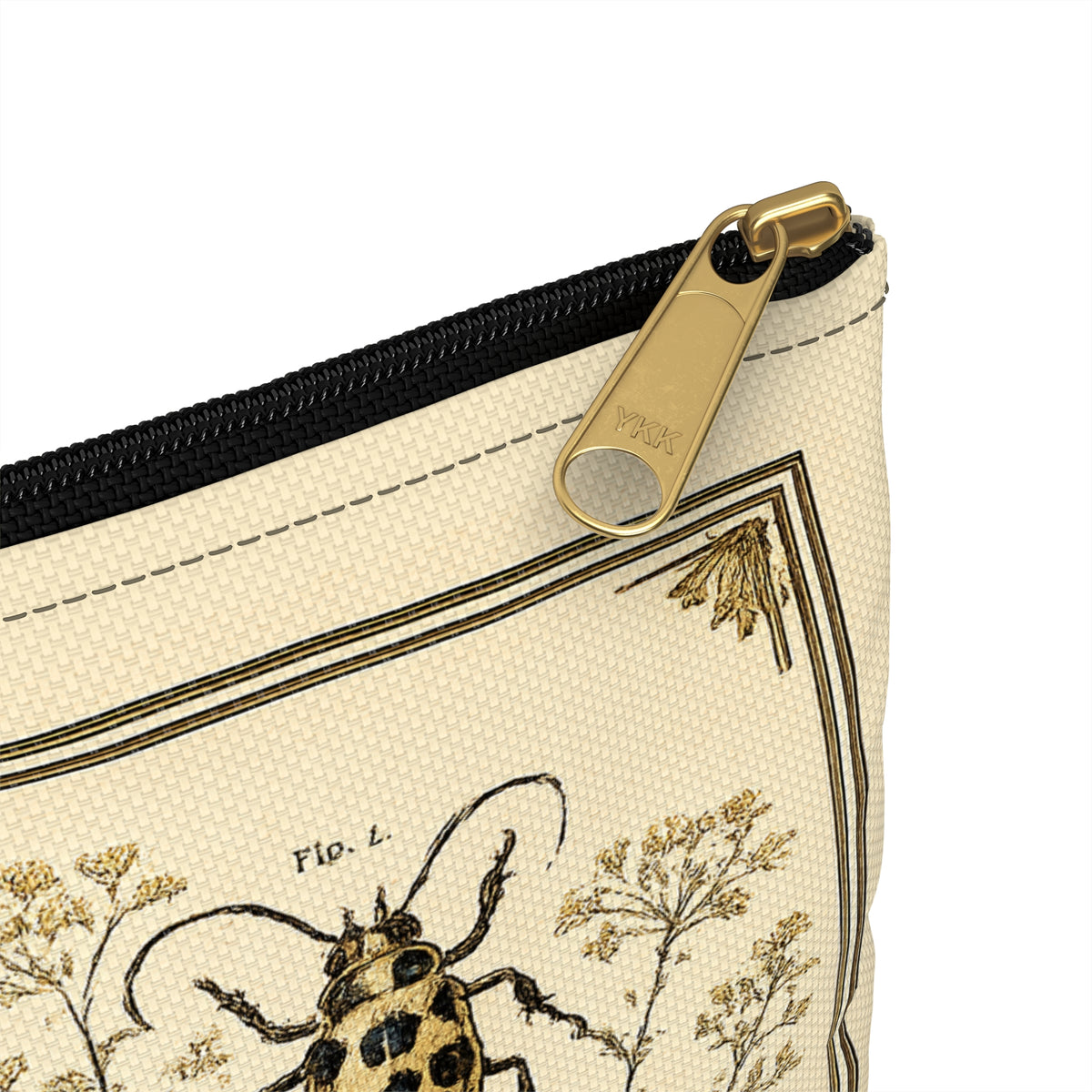 Pouch/Accessory Bag - Vintage Entomology Botanical Beetles