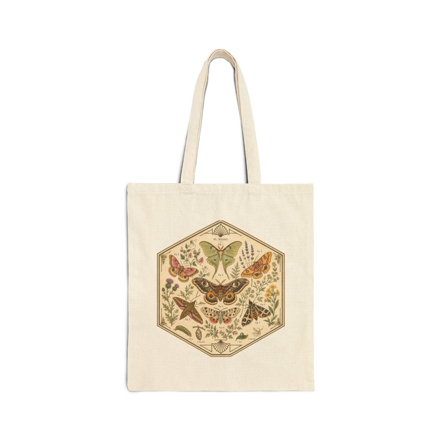 Vintage Hexagon Moths & Floral Canvas Tote Bag