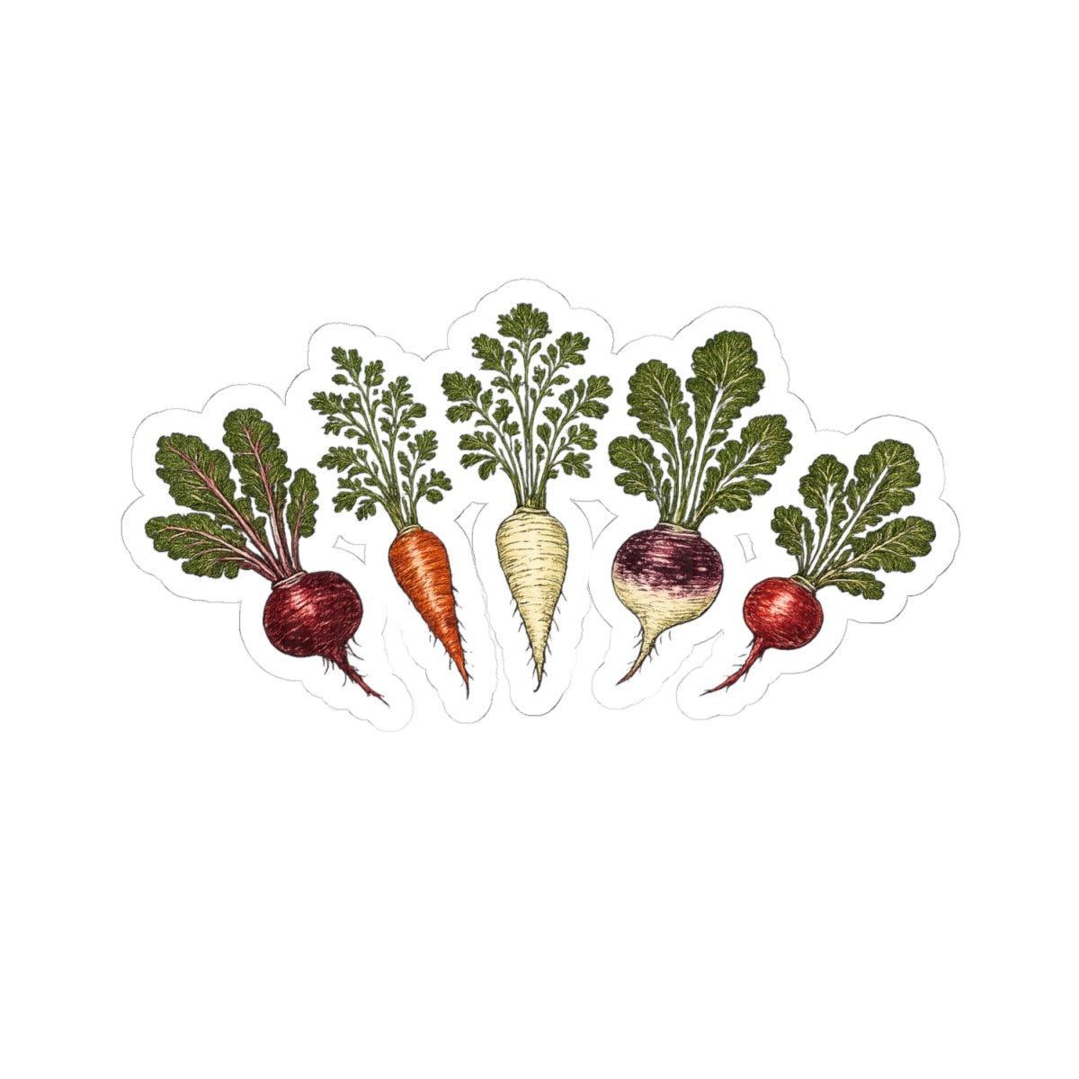 Sticker,  Kiss-Cut - Root Vegetables