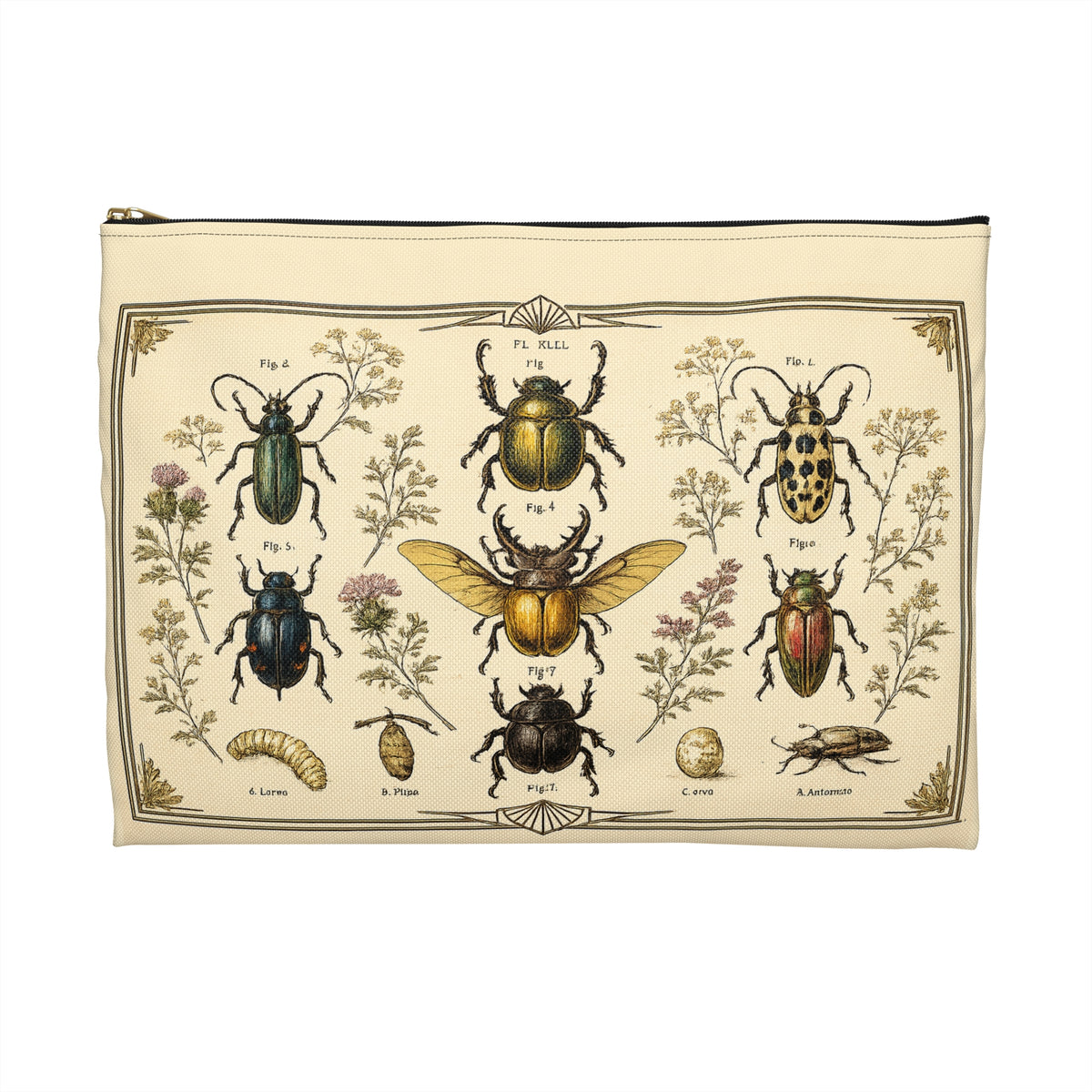 Pouch/Accessory Bag - Vintage Entomology Botanical Beetles