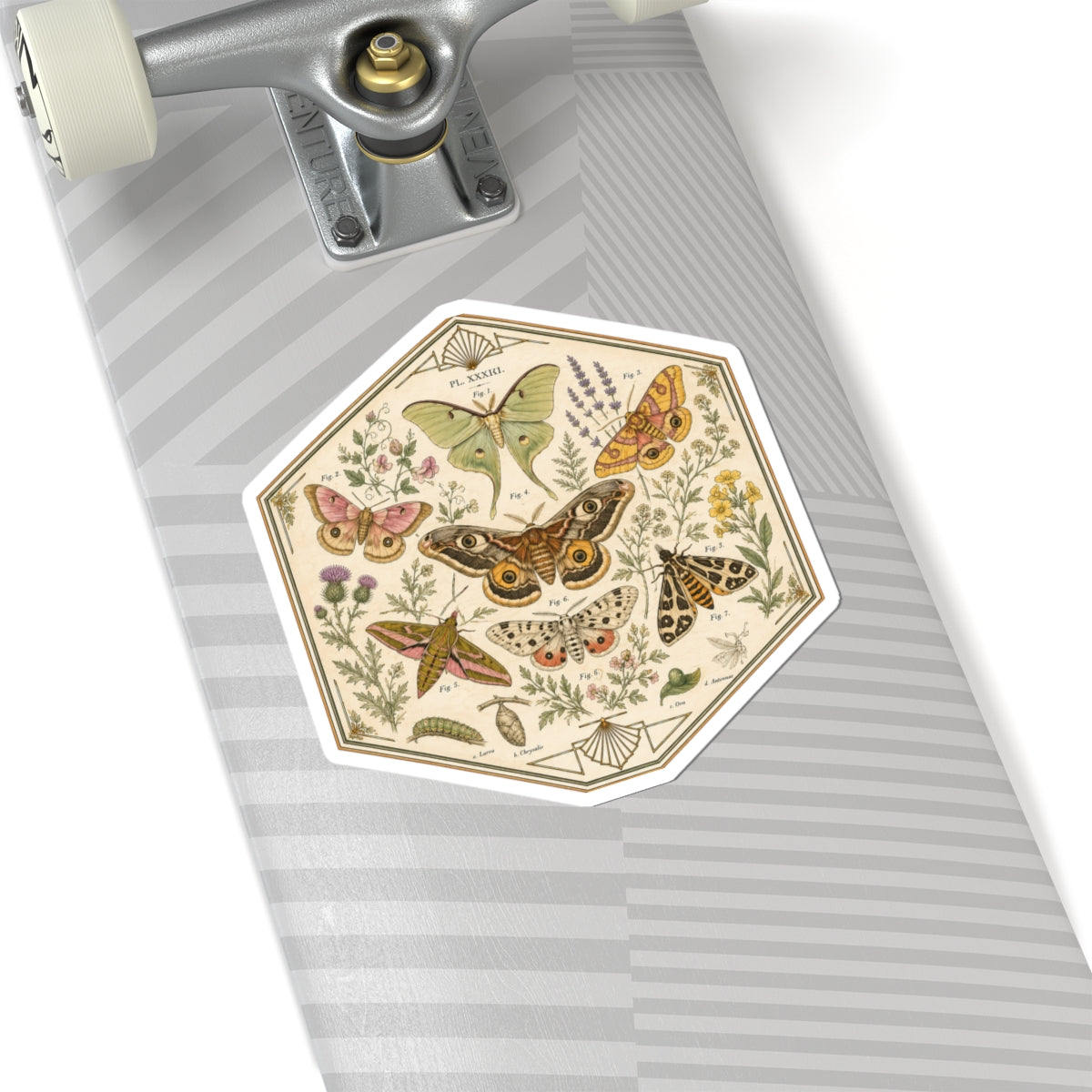 Sticker, Kiss-Cut - Moths & Wildflowers