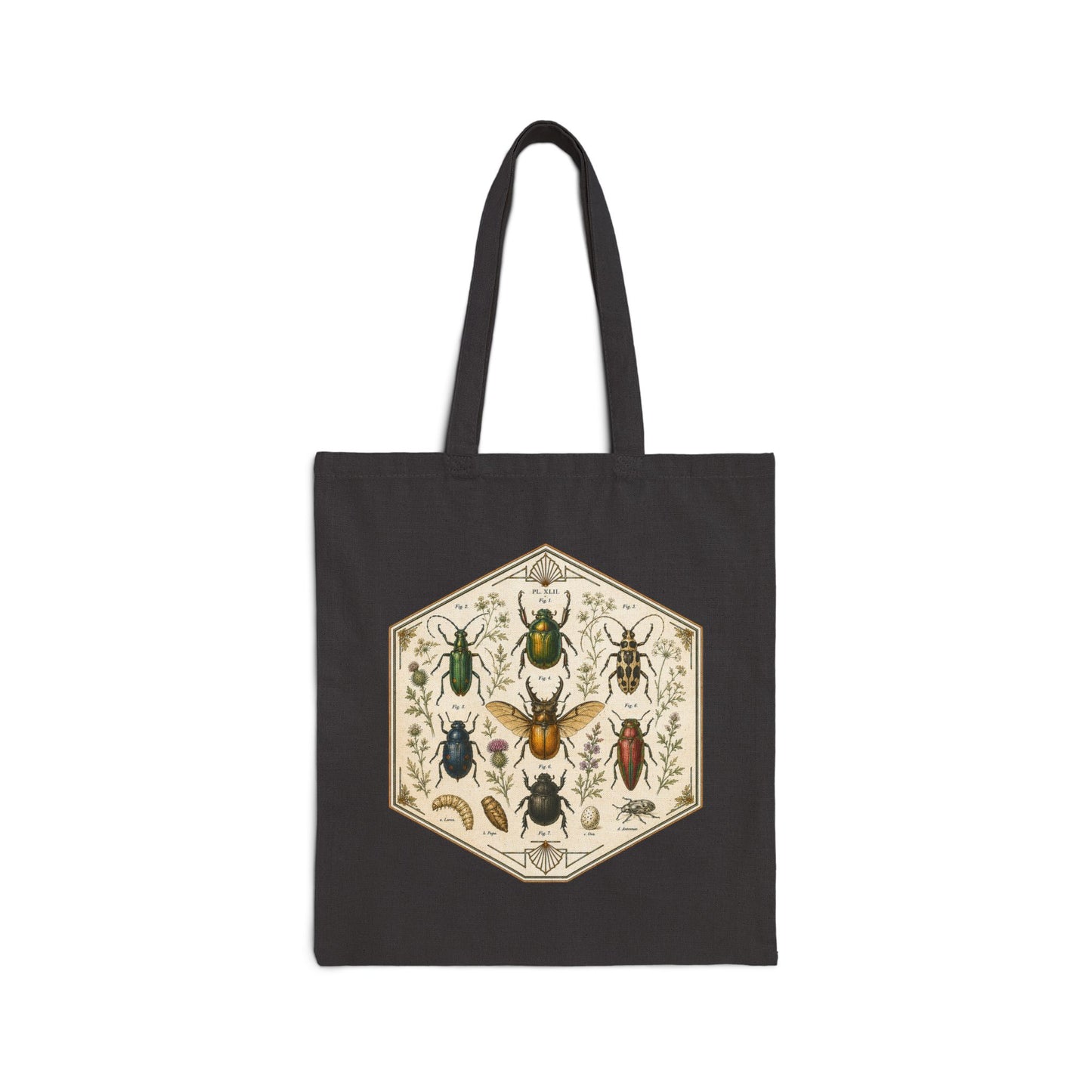 Vintage Entomology Beetle Print Canvas Tote Bag