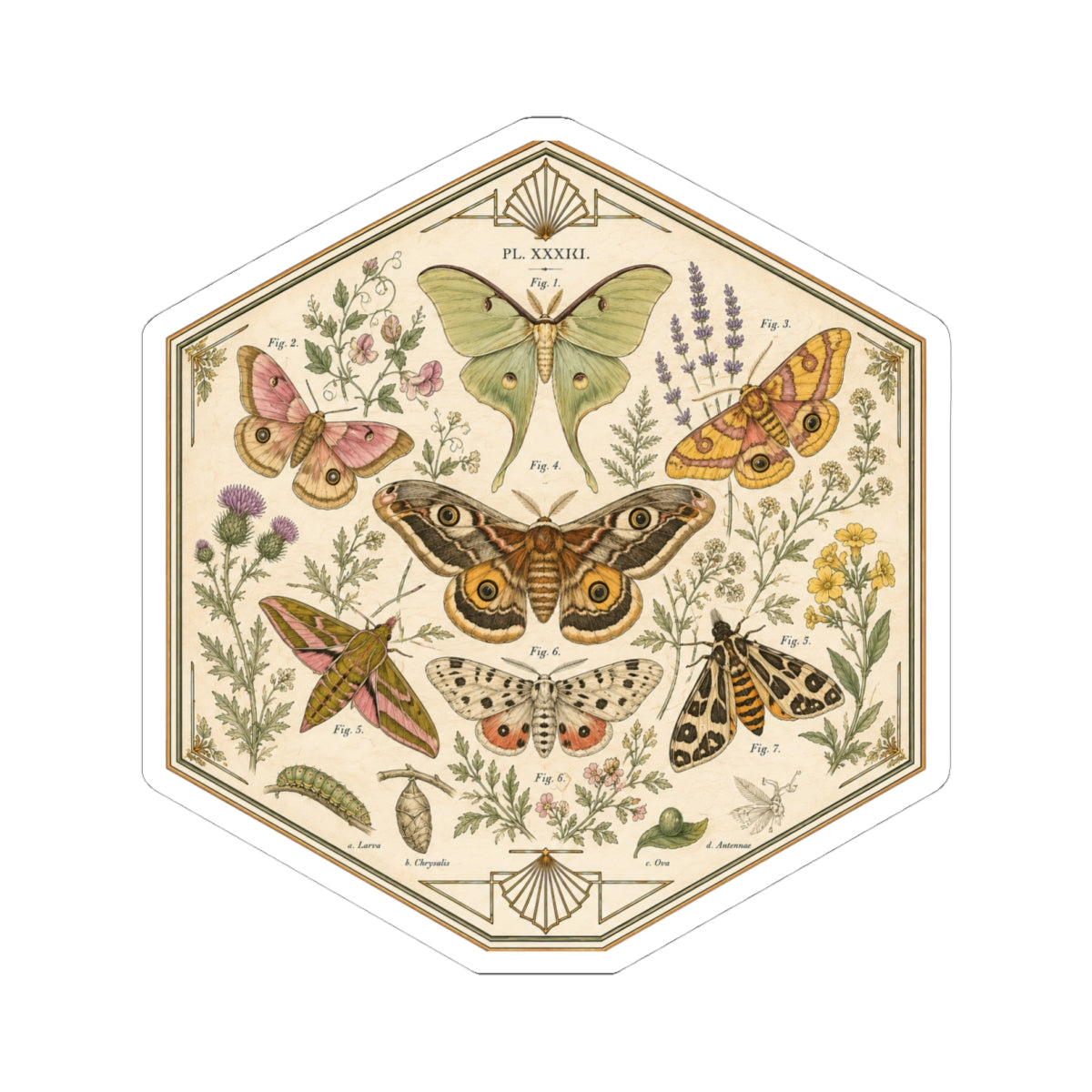 Sticker, Kiss-Cut - Moths & Wildflowers