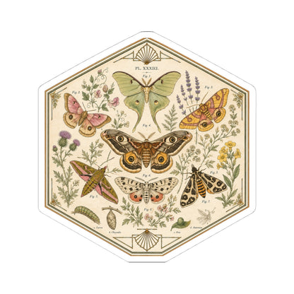 Sticker, Kiss-Cut - Moths & Wildflowers