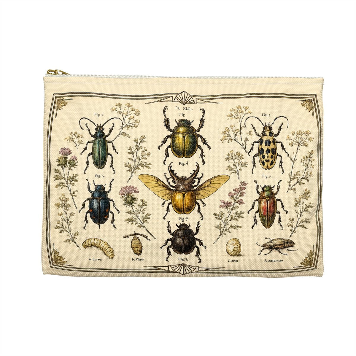 Pouch/Accessory Bag - Vintage Entomology Botanical Beetles