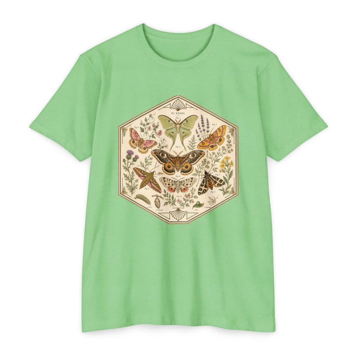 T-Shirt, Short Sleeve Boxy Crew Neck - Moth & Botanicals Hexagon Vintage Nature Illustration