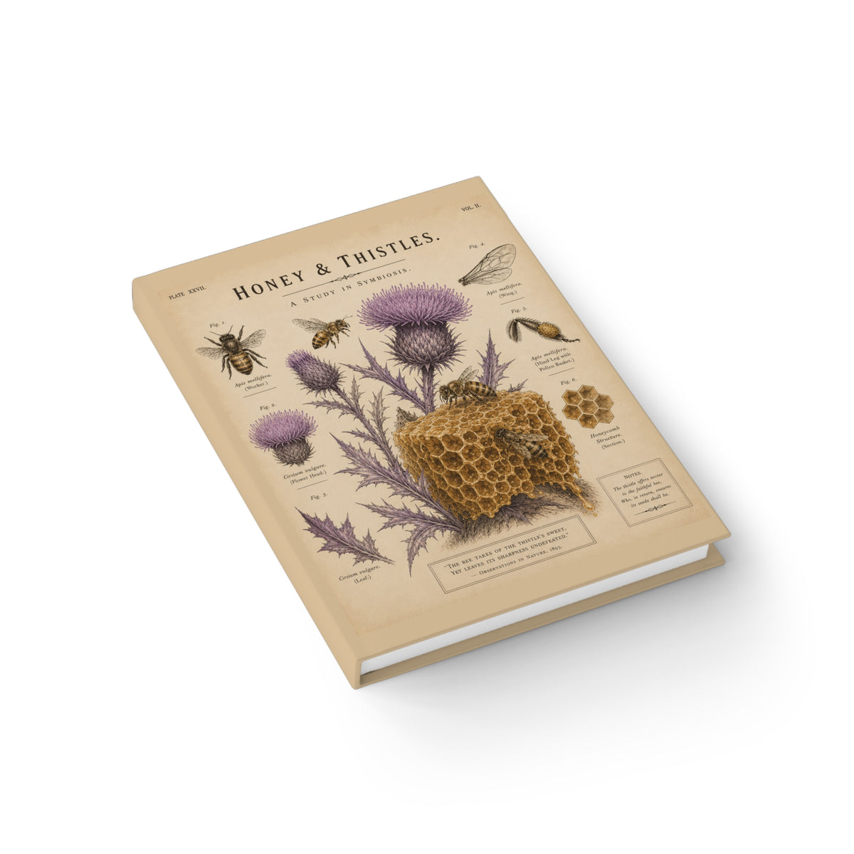 Journal Notebook, Hardback Blank - Honey & Thistles Vintage Botanical Bee
