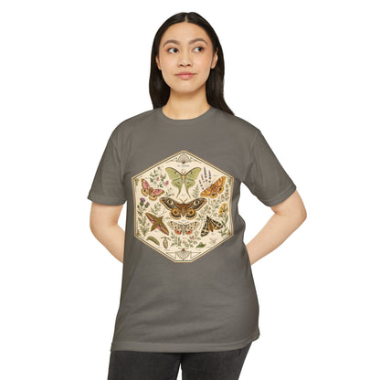 T-Shirt, Short Sleeve Boxy Crew Neck - Moth & Botanicals Hexagon Vintage Nature Illustration