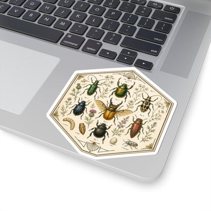 Sticker,  Kiss-Cut - Insect Specimen