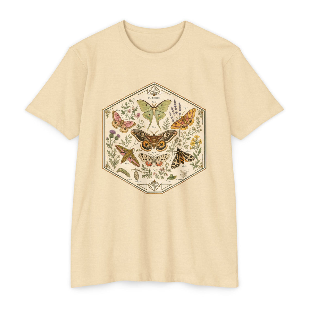T-Shirt, Short Sleeve Boxy Crew Neck - Moth & Botanicals Hexagon Vintage Nature Illustration