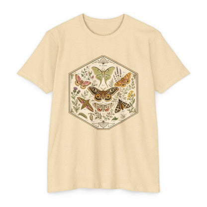 T-Shirt, Short Sleeve Boxy Crew Neck - Moth & Botanicals Hexagon Vintage Nature Illustration