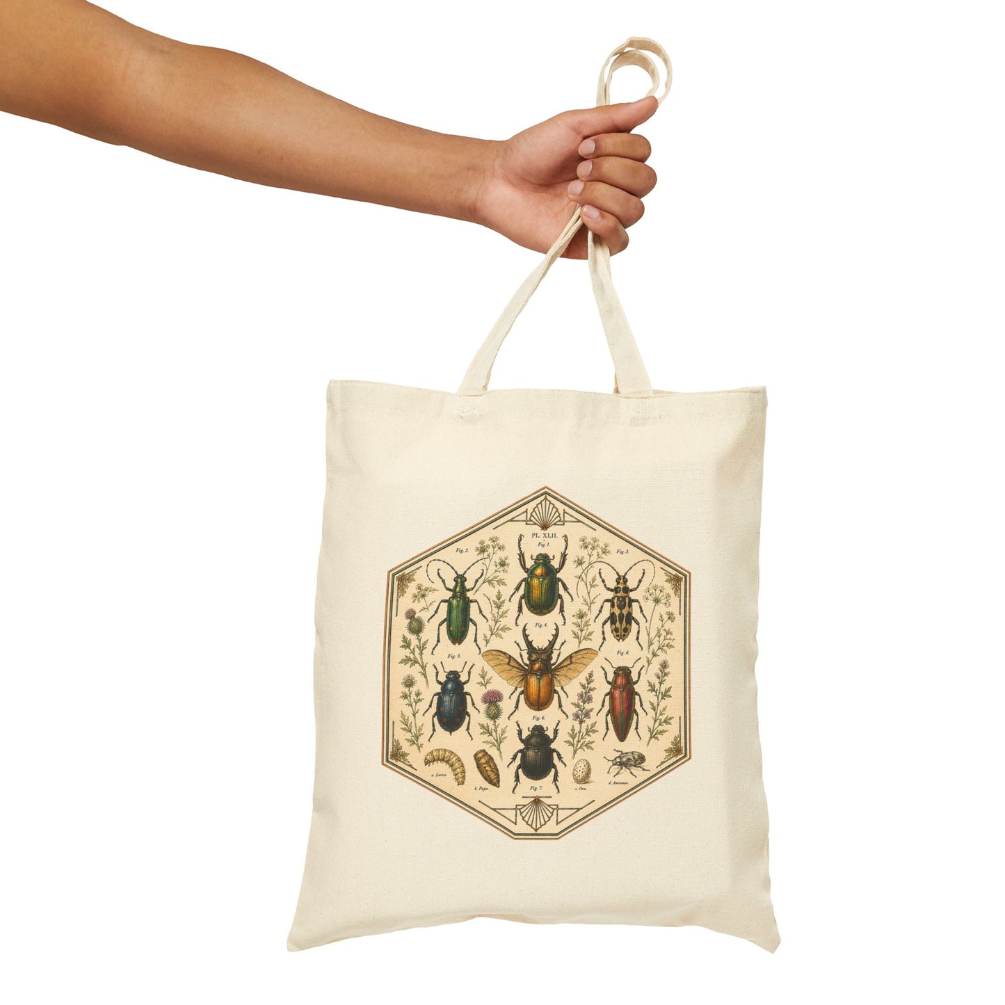 Vintage Entomology Beetle Print Canvas Tote Bag