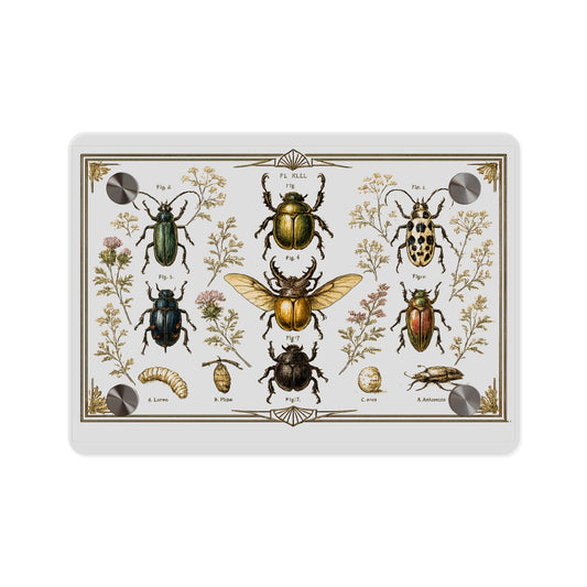 Botanical Beetles Acrylic Art Panel