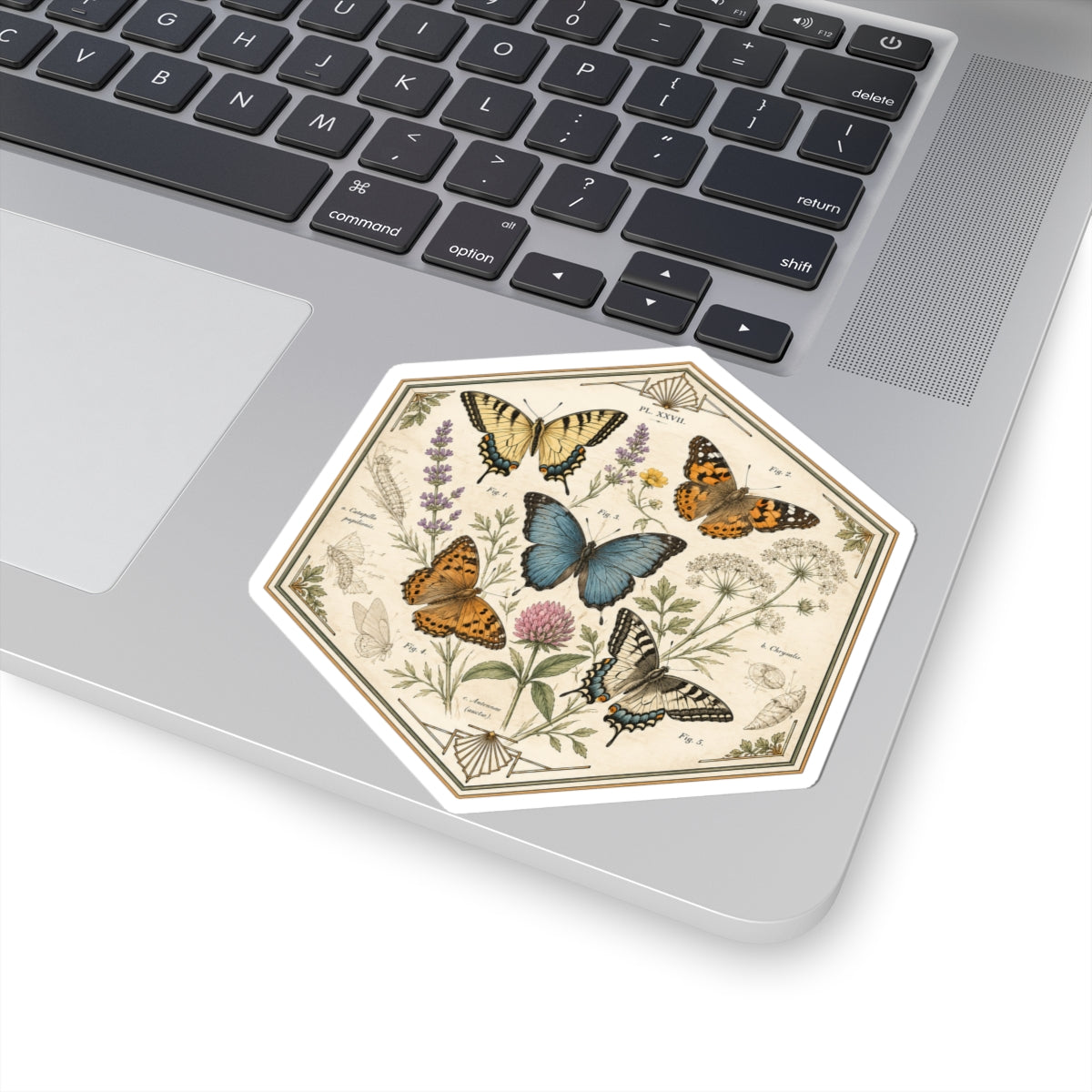 Sticker,  Kiss-Cut - Floral Butterflies