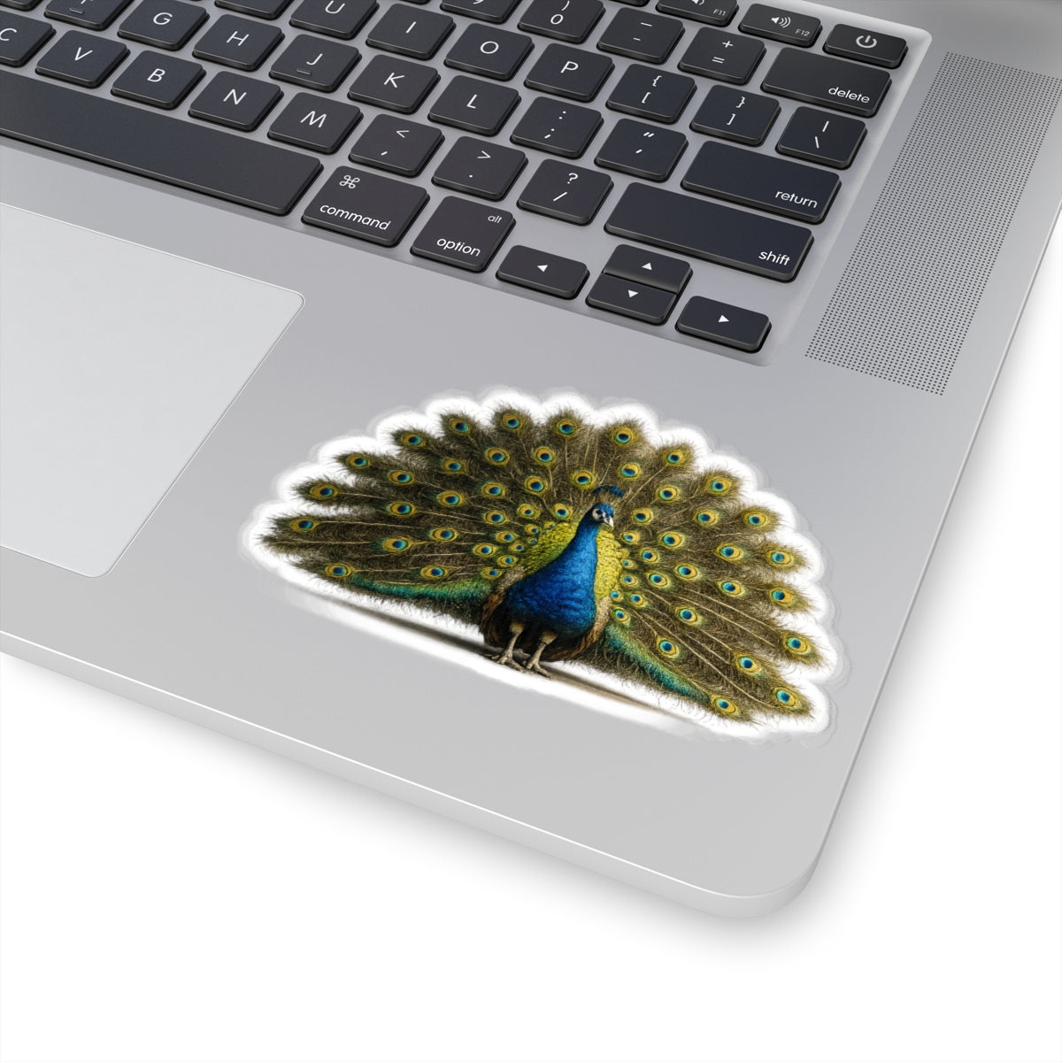 Sticker,  Kiss-Cut - Proud Peacock