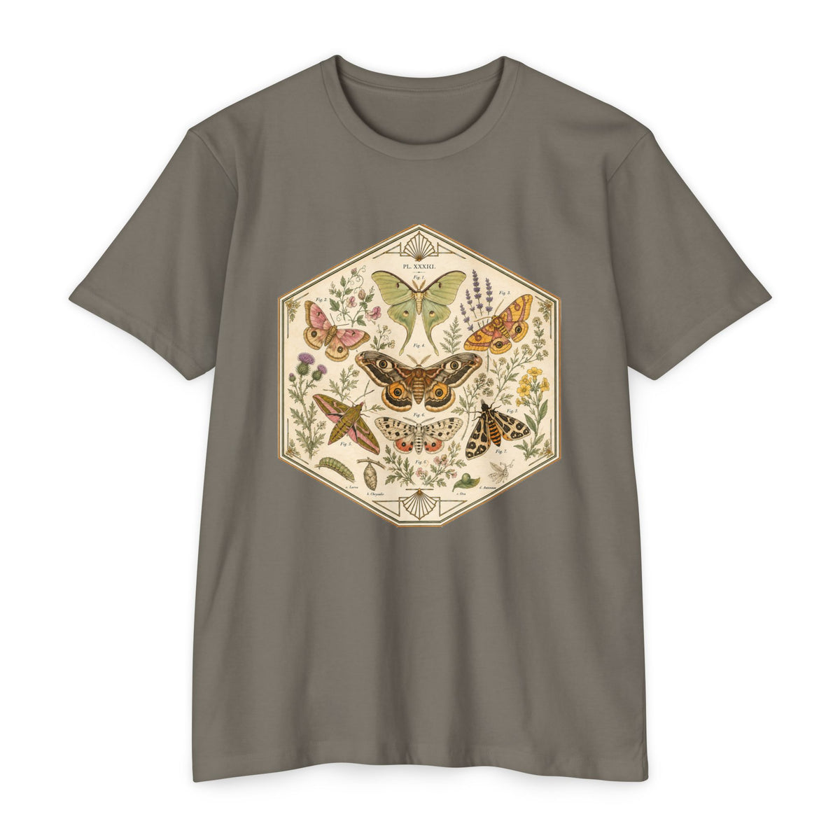 T-Shirt, Short Sleeve Boxy Crew Neck - Moth & Botanicals Hexagon Vintage Nature Illustration