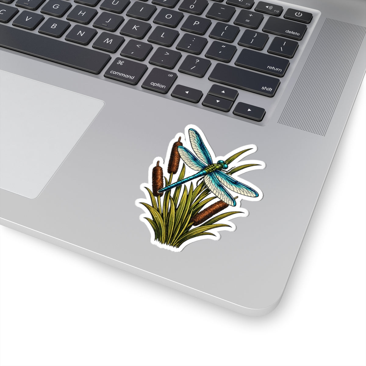 Sticker,  Kiss-Cut - Dragonfly & Cattails
