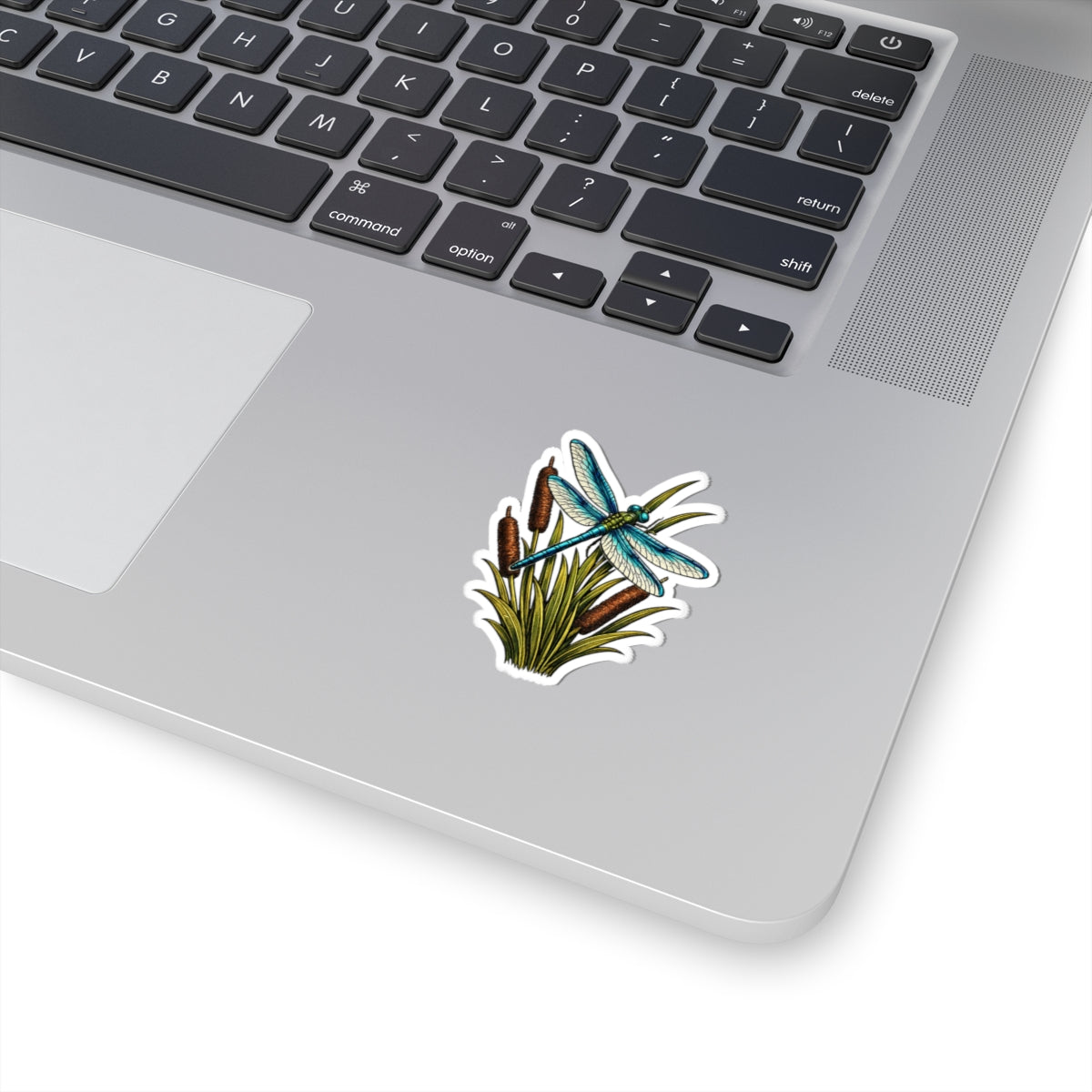 Sticker,  Kiss-Cut - Dragonfly & Cattails