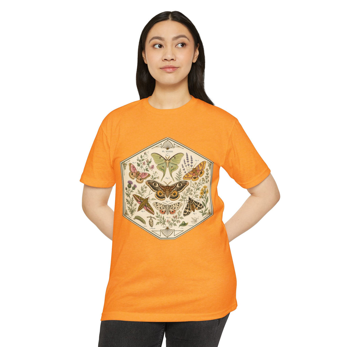 T-Shirt, Short Sleeve Boxy Crew Neck - Moth & Botanicals Hexagon Vintage Nature Illustration