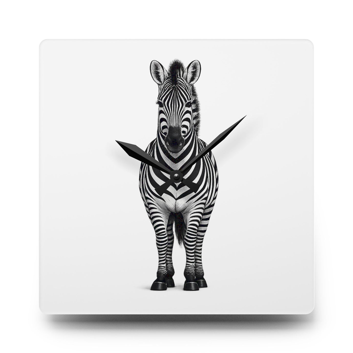 Zebra Portrait Acrylic Wall Clock