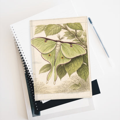 Journal Notebook, Hardback Blank - Botanical Luna Moth