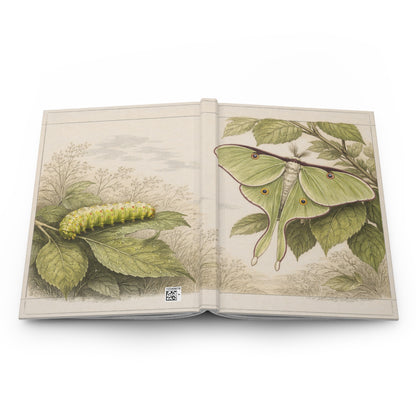 Journal Notebook, Hardcover Lined -Luna Moth & Caterpillar