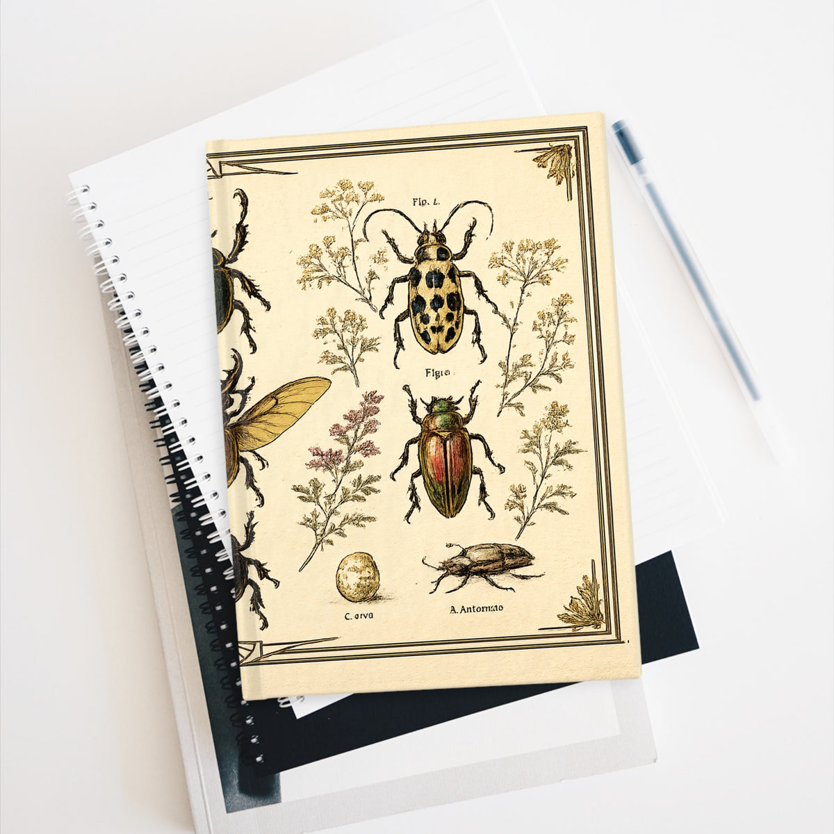 Journal Notebook, Hardback Blank - Vintage Botanical Beetles