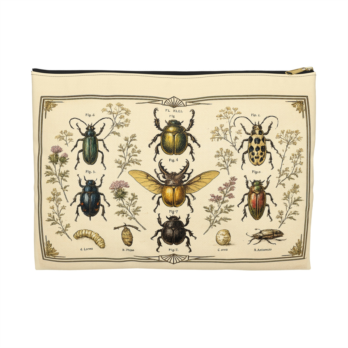 Pouch/Accessory Bag - Vintage Entomology Botanical Beetles