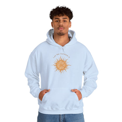 Hoodie - "Let the Sunshine In" Sunshine Soul