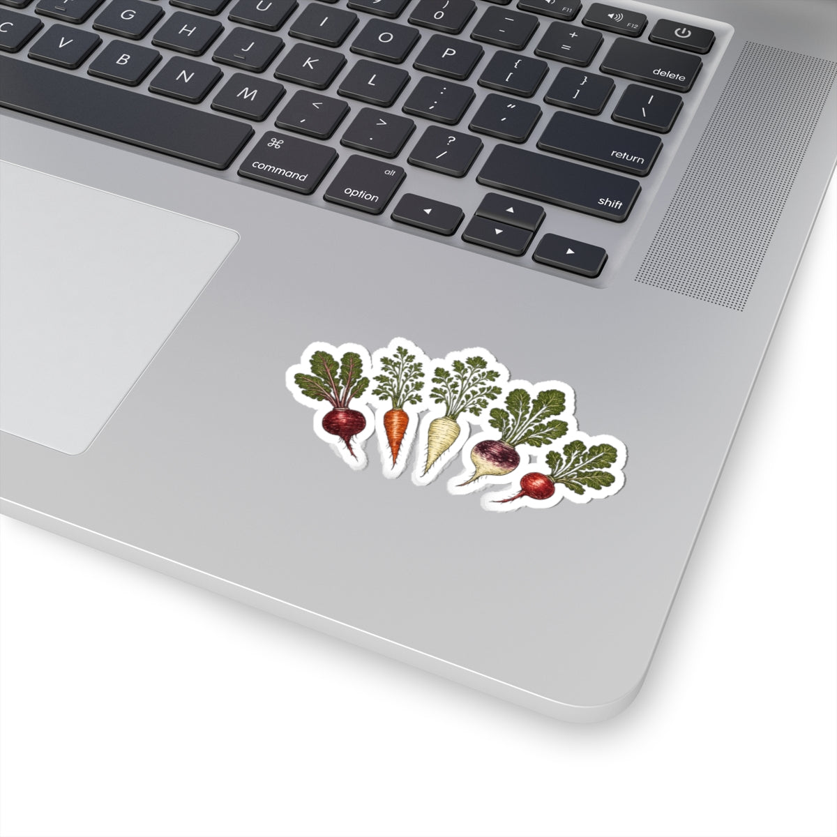 Sticker,  Kiss-Cut - Root Vegetables