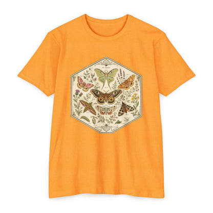 T-Shirt, Short Sleeve Boxy Crew Neck - Moth & Botanicals Hexagon Vintage Nature Illustration