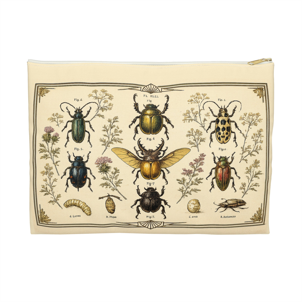 Pouch/Accessory Bag - Vintage Entomology Botanical Beetles