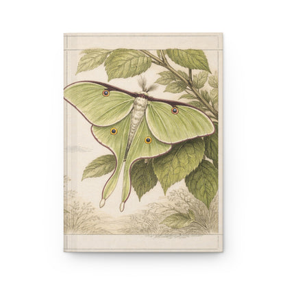 Journal Notebook, Hardcover Lined -Luna Moth & Caterpillar