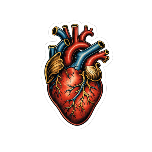 Anatomical Heart Kiss-Cut Stickers