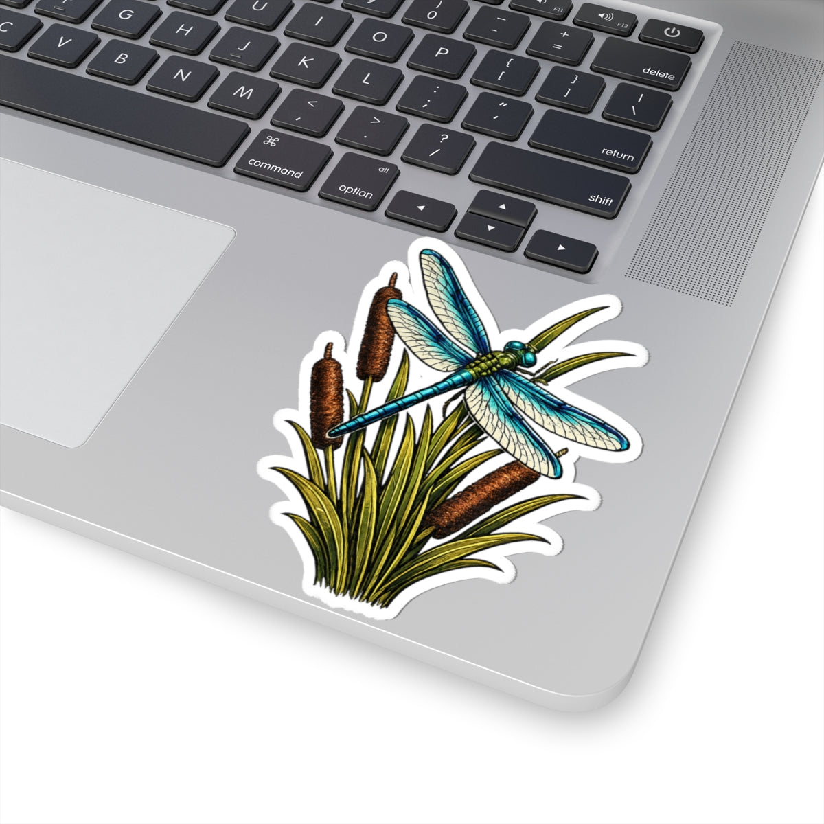 Sticker,  Kiss-Cut - Dragonfly & Cattails