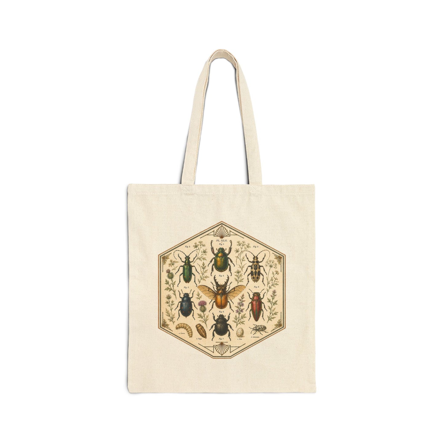 Vintage Entomology Beetle Print Canvas Tote Bag