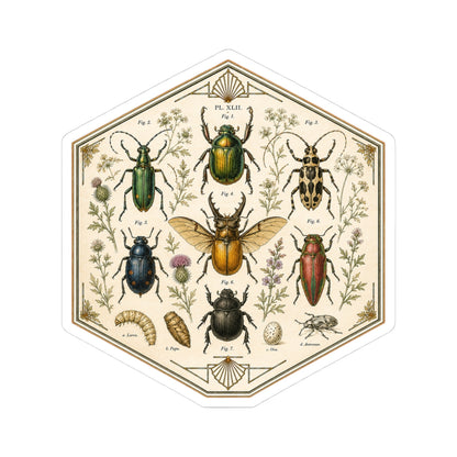 Sticker,  Kiss-Cut - Insect Specimen
