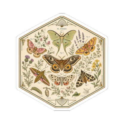 Sticker, Kiss-Cut - Moths & Wildflowers