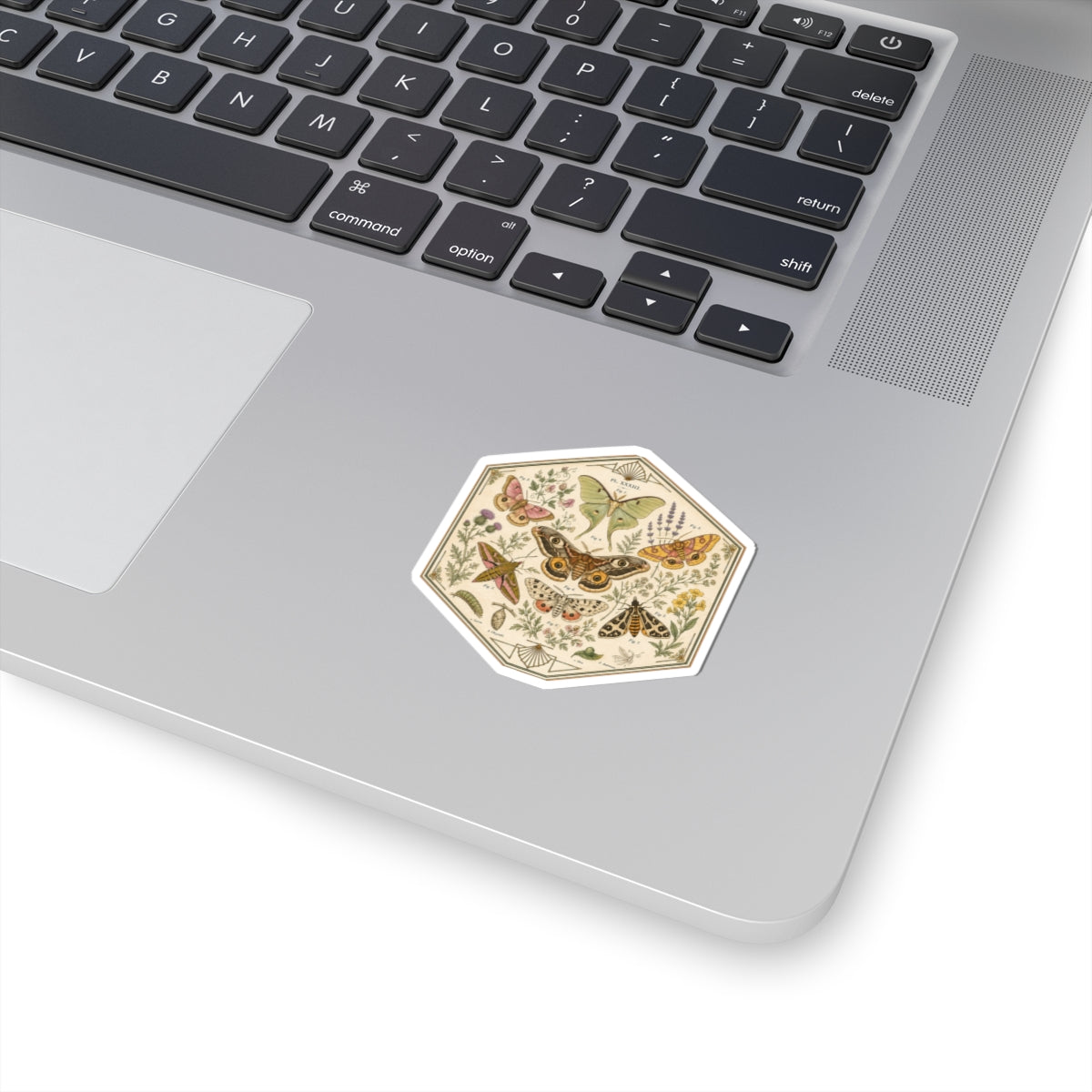 Sticker, Kiss-Cut - Moths & Wildflowers