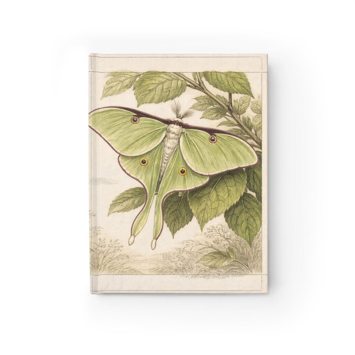 Journal Notebook, Hardback Blank - Botanical Luna Moth
