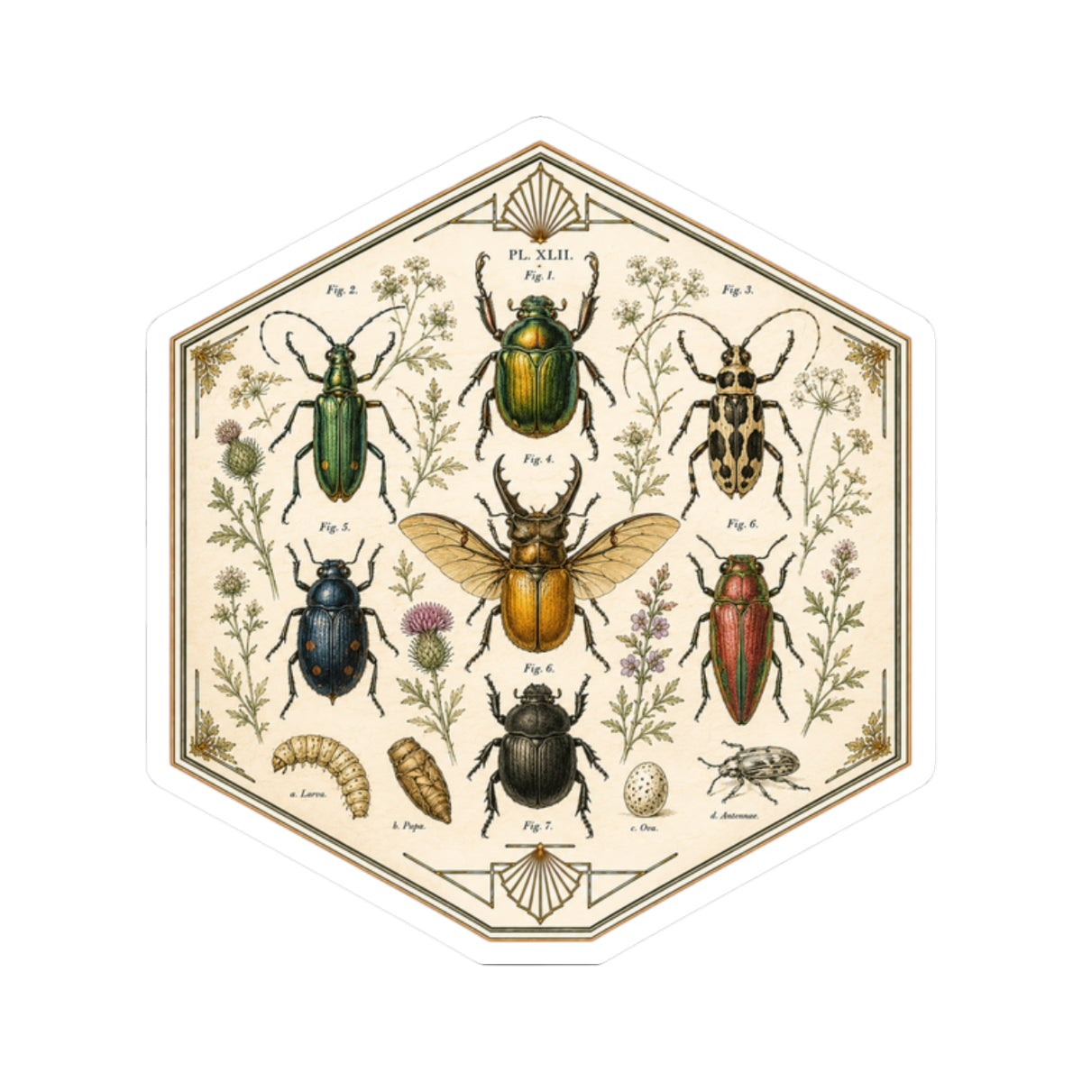 Sticker,  Kiss-Cut - Insect Specimen