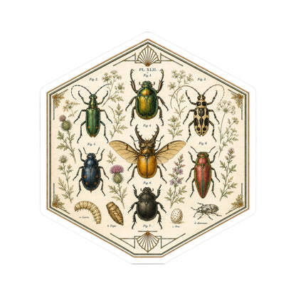 Sticker,  Kiss-Cut - Insect Specimen