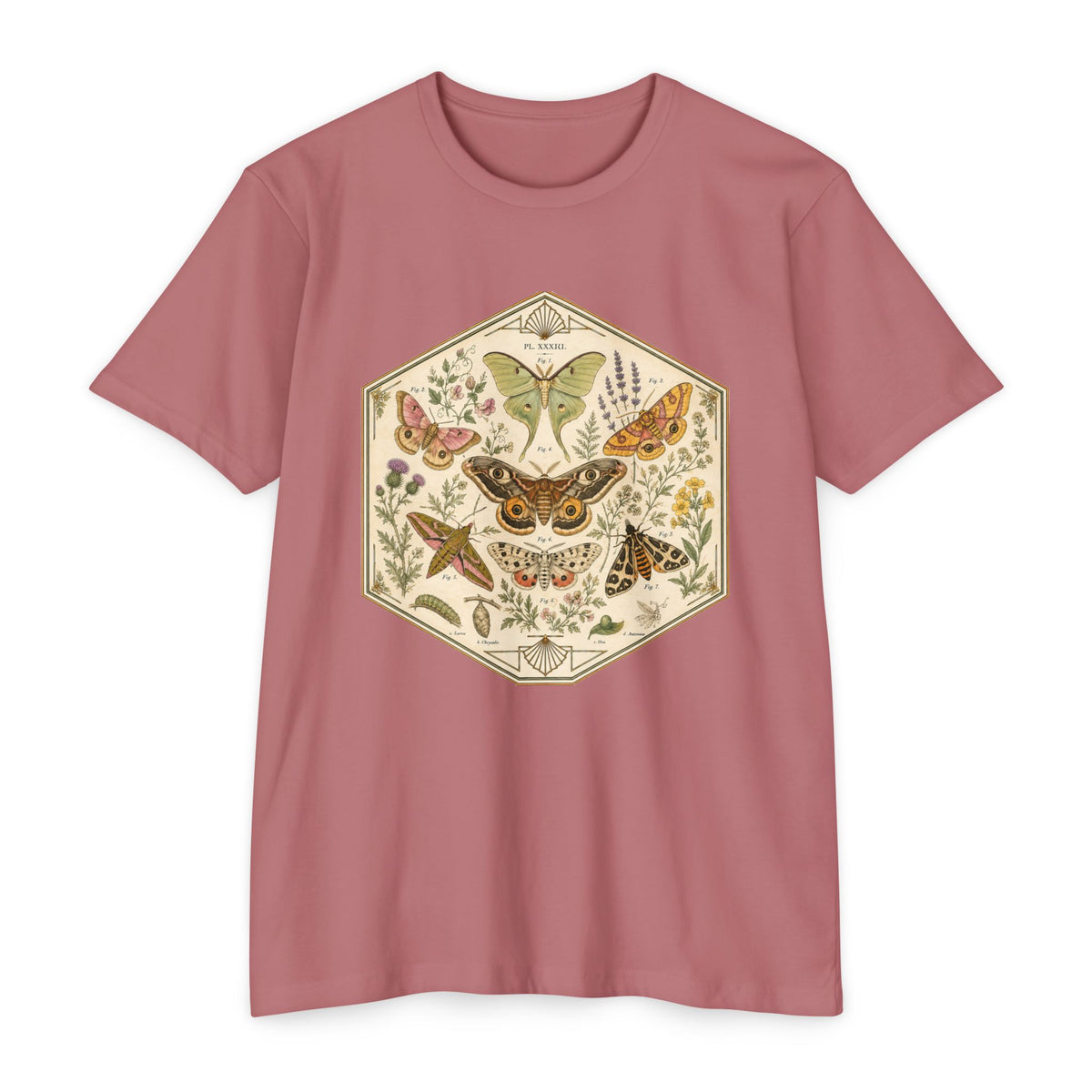 T-Shirt, Short Sleeve Boxy Crew Neck - Moth & Botanicals Hexagon Vintage Nature Illustration