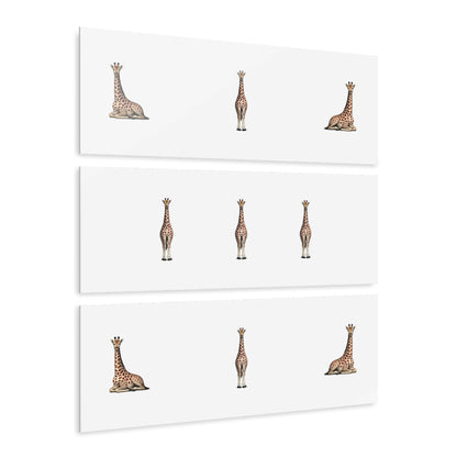 Canvass Art Print -Giraffe Triptych