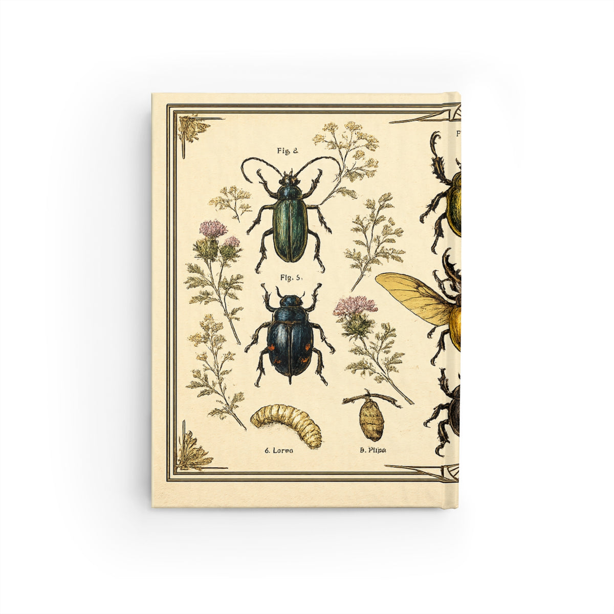 Journal Notebook, Hardback Blank - Vintage Botanical Beetles