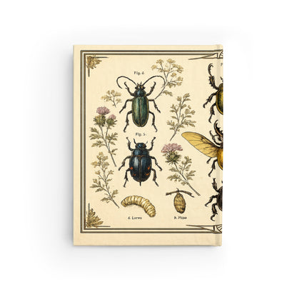 Journal Notebook, Hardback Blank - Vintage Botanical Beetles