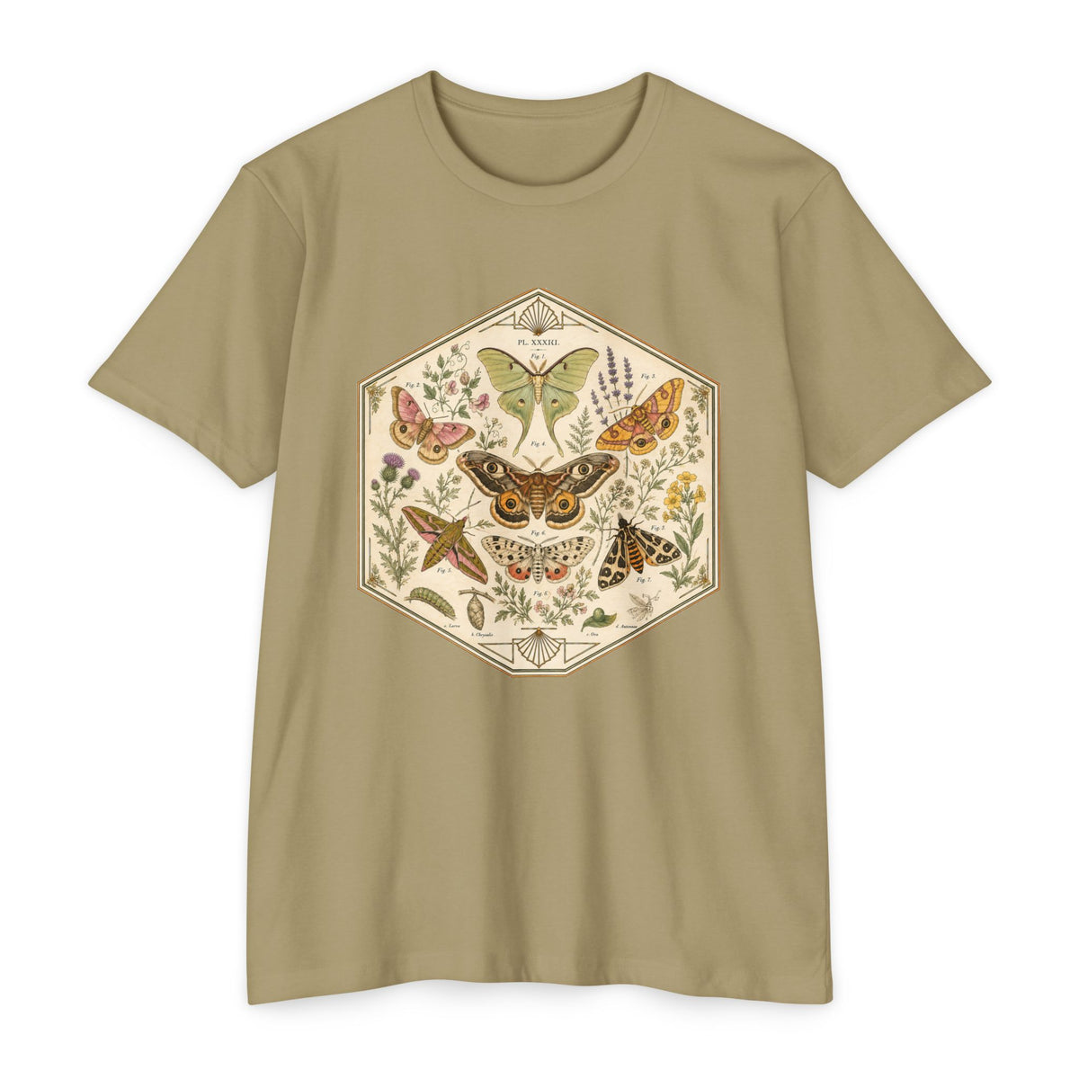 T-Shirt, Short Sleeve Boxy Crew Neck - Moth & Botanicals Hexagon Vintage Nature Illustration