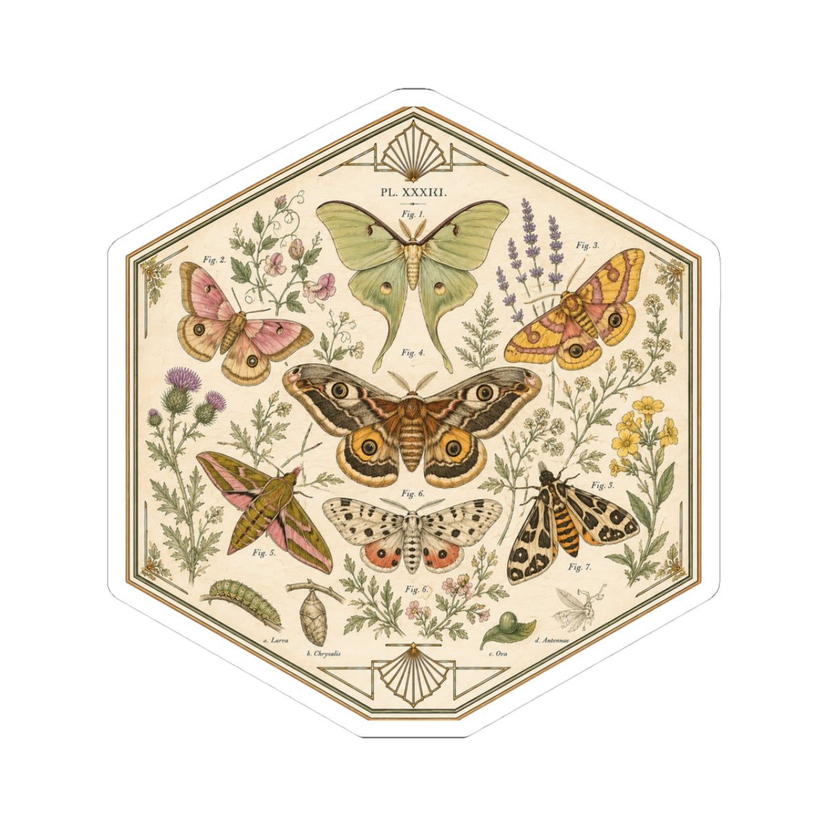 Sticker, Kiss-Cut - Moths & Wildflowers