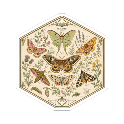 Sticker, Kiss-Cut - Moths & Wildflowers